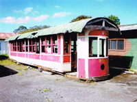 Trammy In Yard